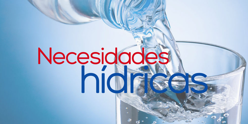 necesidades hidricas diarias