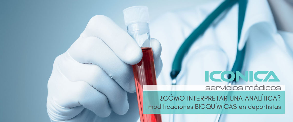 como interpretar una analitica bioquimica de sangre