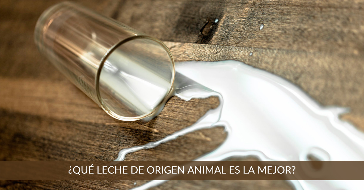 que leche de origen animal es mejor