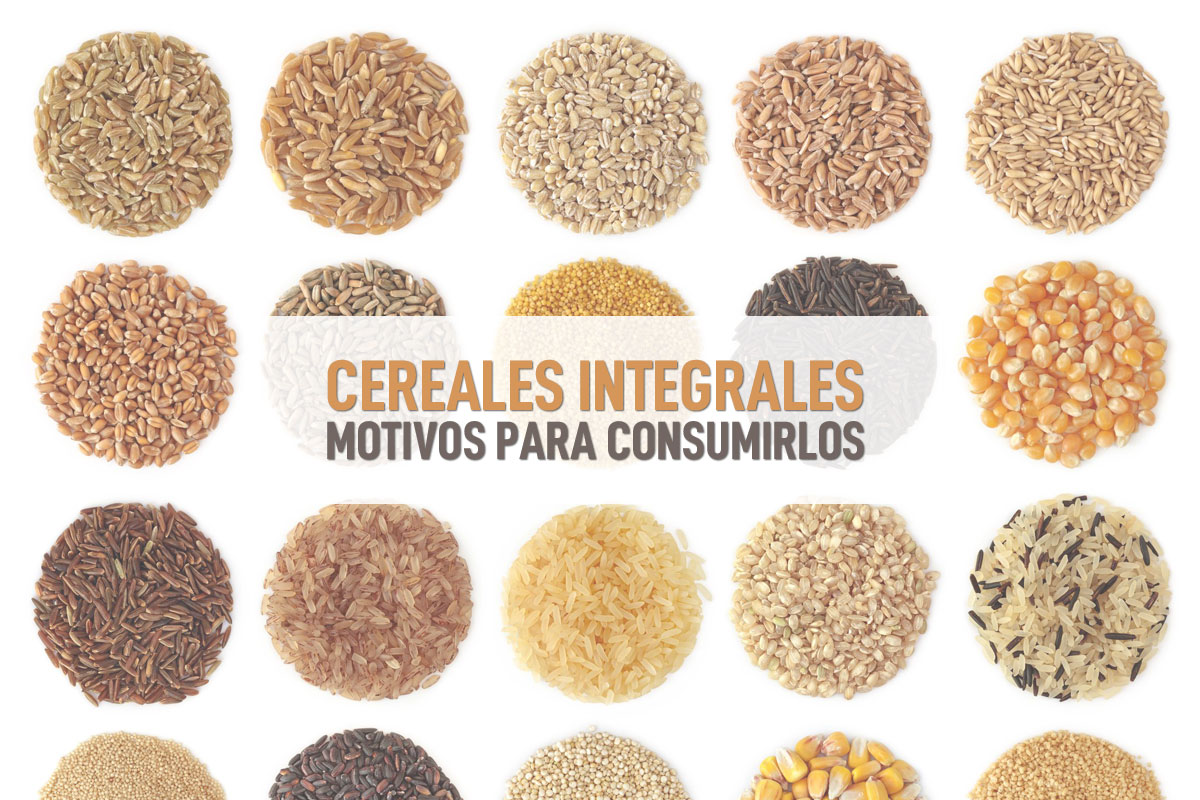 Tomar un riesgo Amoroso imagen Por qué consumir cereales integrales? | ICONICA Servicios Médicos