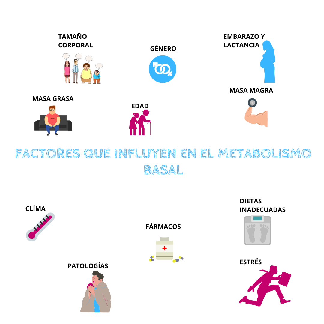 Qué es el metabolismo y cómo nos afecta