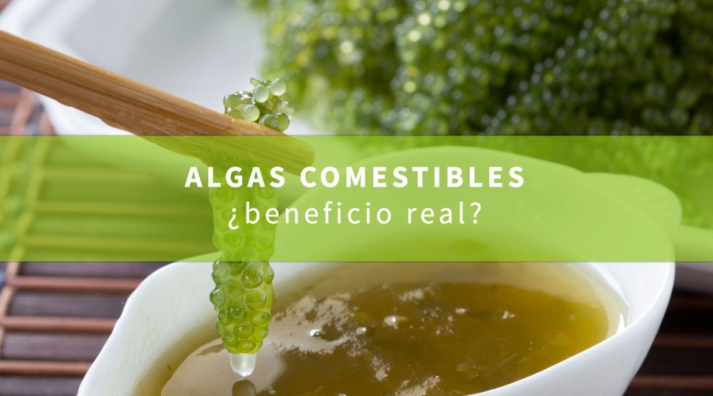 algas-como-alimento-beneficiosas-o-perjudiciales