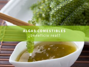 algas-como-alimento-beneficiosas-o-perjudiciales