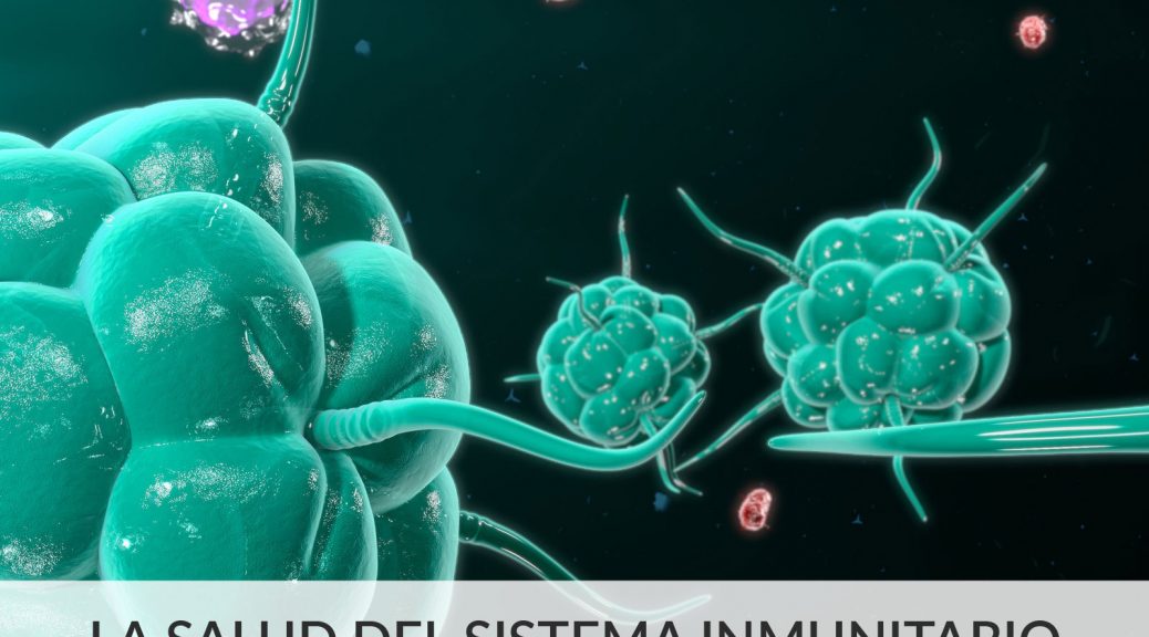 3 pautas que sí ayudan a tu sistema inmunitario
