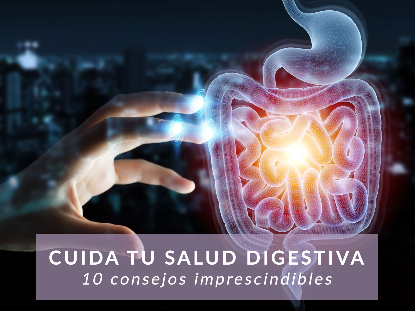 10 consejos para cuidar tu Salud Digestiva